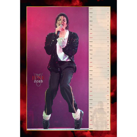 Michael Jackson　カレンダー　5点セット Michael Jackson カレンダー 5点セット Michael Jackson 2025